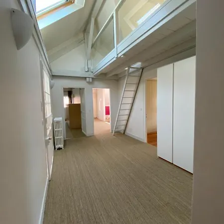 Elegant Duplex De Standing De 230m2 Апартаменты Ла-Рош-сюр-Форон
